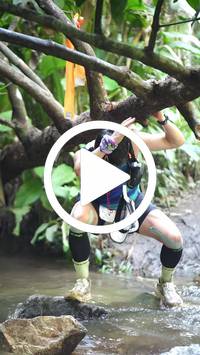 BIB:  <button type="button" onclick="openModal(27824353)" class="btn btn-primary btn-sm float-right" data-toggle="modal" data-target=".modal-high-quality">
                <i class="fa fa-download"></i> Download
                </button>